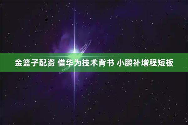 金篮子配资 借华为技术背书 小鹏补增程短板